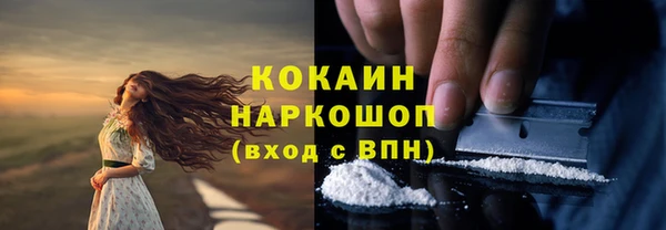дживик Алексеевка