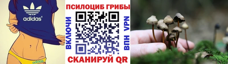 KRAKEN онион  Старая Купавна  Псилоцибиновые грибы Cubensis 